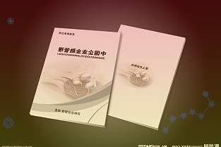 大兴机场临空区面向全球发布国际交往中心功能承载区创意征集令